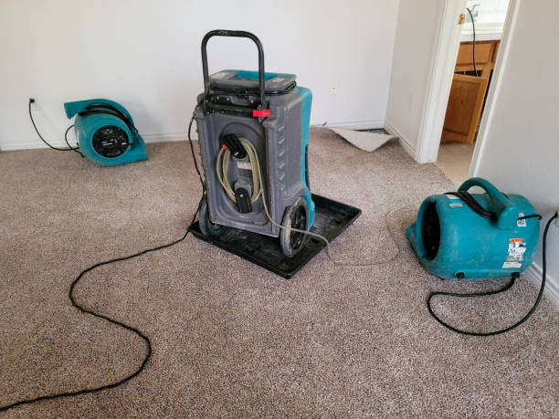 Best Water damage restoration company  in El Cerrito, CA
