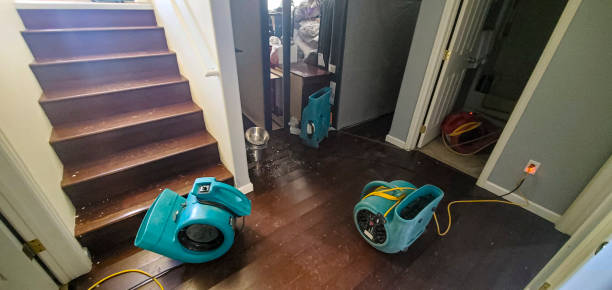 Best Water damage restoration near me  in El Cerrito, CA