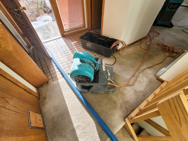 Best Residential water damage restoration  in El Cerrito, CA
