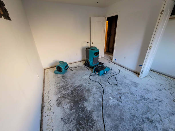 Best 24-hour water damage restoration  in El Cerrito, CA