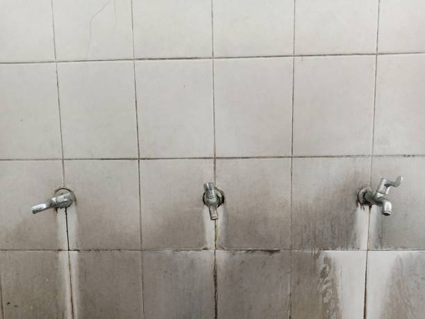 Best Water damage contractors near me  in El Cerrito, CA